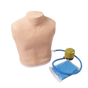 Modelo Avanzado <span class=keywords><strong>de</strong></span> PVC para <span class=keywords><strong>el</strong></span> Tratamiento <span class=keywords><strong>de</strong></span> Neumotórax, Maniquí <span class=keywords><strong>de</strong></span> Entrenamiento para Aerotórax - Product Image 1