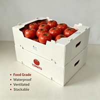 Caisse de transport pliable en PP alvéolaire pour brocoli, empilable et respirante, pour fruits et légumes, directement de l'usine, OEM ODM disponible