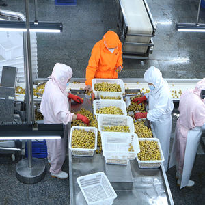 Châtaignes chinoises surgelées, pelées/décortiquées, certifiées biologiques, pour la <span class=keywords><strong>cuisson</strong></span> et la cuisine, approvisionnement en vrac, vente en gros de châtaignes surgelées - Product Image 5