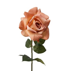 H-534 Vente chaude <span class=keywords><strong>Rose</strong></span> artificielle à toucher <span class=keywords><strong>r</strong></span>éel, tige de <span class=keywords><strong>rose</strong></span> colorée, pour Halloween et la Saint-Valentin, roses en gros direct usine - Product Image 5