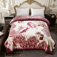 Couverture Raschel d'hiver imprimée en polaire super douce, 3 kg, 2 ou 1 plis, en minky, avec logo personnalisé, vente en gros