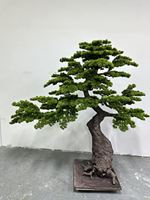 Pierre de jardin artificielle en forme de pin, plante décorative de style chinois pour hall d'entrée et sous les escaliers