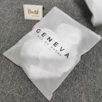 Sac givré biodégradables, unités, sac d'emballage lavable avec fermeture à glissière sur le dessus, avec votre propre Logo, taille OEM, EVA PE OPP, transparent, fermeture éclair, vente en gros