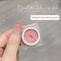 Kit de Gel Acrylique Dégradé pour Ongles, Séchage LED UV, Style Français, Non Toxique, Outils de Manucure DIY à Domicile pour Salon de Nail Art
