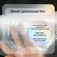 Film de serre tissé anti-UV, anti-goutte, anti-buée, 85 % de transmittance, en polyéthylène pour l'agriculture, durable 5-10 ans, découpe personnalisable