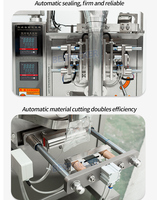 Machine de remplissage et d'emballage verticale multifonctionnelle DXDK-300B pour sachets de granulés alimentaires (sucre, riz, haricots, graines)