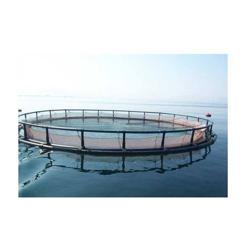 Professional Tilapia Aquaculture System Integrated Floating