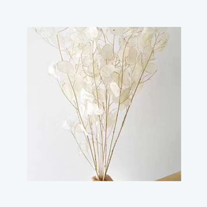 Fleurs décoratives les plus populaires INS, fleurs séchées et plantes, lunaria naturelle conservée pour la décoration de la maison - Product Image 1