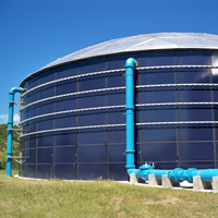 Réservoir sous pression en acier avec commande PLC pour la digestion anaérobie automatique des excréments animaux et des déchets végétaux