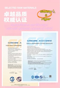 Poudre d'extrait de châtaigne de qualité alimentaire 99% séchée par pulvérisation <span class=keywords><strong>sous</strong></span> <span class=keywords><strong>vide</strong></span>, approvisionnement direct usine pour la cuisson et la pâtisserie (matière première) - Product Image 4