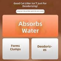 Litière pour chat OEM ODM anti-poussière, agglomérante, biodégradable, 10 kg, contrôle des odeurs, absorption rapide