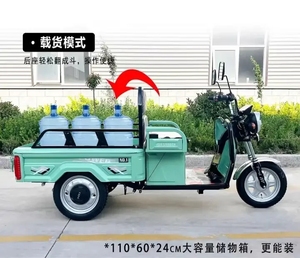 Triciclo Eléctrico de 60V 320W 1000W con Certificación EEC, Fabricado en China, Disponible para Envío Antes de Navidad - Product Image 2