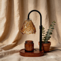 Lampe chauffe-bougie LANJO pour l'Australie, diffuseur d'arômes sans flamme, lampe chauffe-cire parfumée, diffuseur d'arômes de luxe, chauffe-bougie à brancher