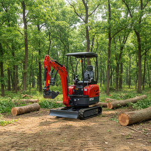 免费送货 1.8 吨小型挖掘机 小型履带式挖掘机 2 吨 2.5 吨新型微型挖掘机出售 - Product Image 1