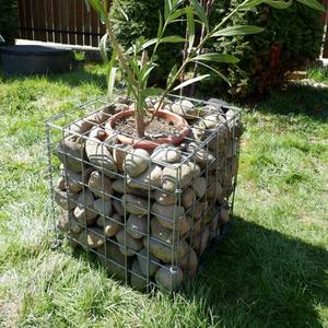 Direct usine Gabions soudés en treillis métallique de fer, à tissage plat, <span class=keywords><strong>pour</strong></span> murs de soutènement et clôtures de jardin, avec service de découpe - Product Image 2