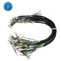 Faisceau de câblage pour équipements médicaux et appareils électroniques d'urgence, isolation PBT, IATF16949, longueur personnalisable