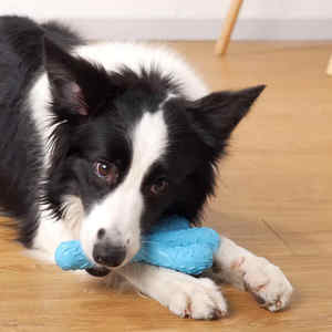 Aggressivo e durevole da masticare vendita a caldo nuovi giocattoli da masticare per cani solidi durevoli colorati TPR osso grande + <span class=keywords><strong>Squeaker</strong></span> giocattoli da masticare per animali domestici - Product Image 3