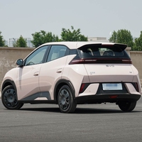 Offre Spéciale BYD 2025 Seagull Smart Driving Edition 305km Vitality Edition New Energy Vehicles Pure Electric