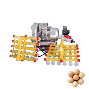 <b>Egg</b> Vacuum Lifter <b>Egg</b> Tray Loading Vacuum Vacuum <b>Egg</b> Lifter <b>Machine</b> - Product Image 6
