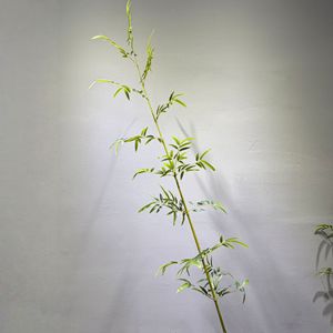 Plante artificielle en bambou Dian Duo 150cm 180cm 220cm, verdure pour la décoration intérieure, ameublement doux - Product Image 4