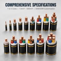 Kabel Daya Udara YJV2*16 450V Tegangan Rendah Tembaga Murni Berisolasi PVC Berjaket Tahan Api Kelas C 90C