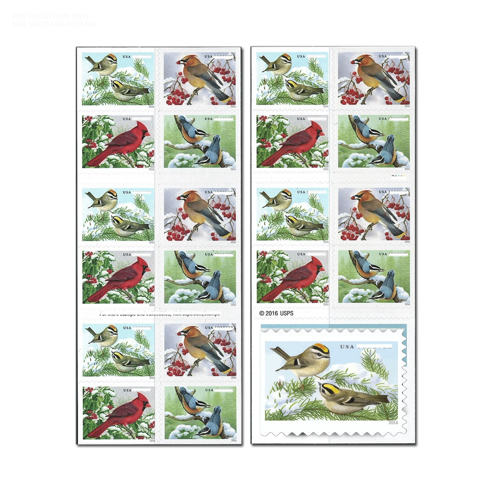 White Y72 2016 Songbirds in Snow