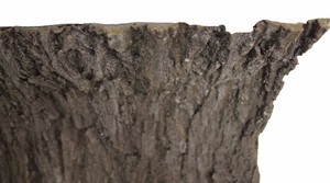 Decoración de corteza de árbol <span class=keywords><strong>artificial</strong></span> Corteza de árbol de pino seco <span class=keywords><strong>real</strong></span> con musgo <span class=keywords><strong>artificial</strong></span> para DIY Festival Fiesta en casa Adorno de pared - Product Image 5