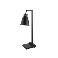 Équipement de cuisine commerciale Lampe chauffante infrarouge électrique Chauffe-aliments pour buffet de comptoir pour utilisation au restaurant d'hôtel