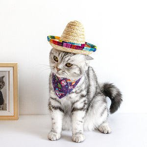 Sombrero <span class=keywords><strong>de</strong></span> Paja para Mascotas, Mini Sombrero Mexicano, Gorra <span class=keywords><strong>de</strong></span> Protección Solar para Perros y Gatos, Sombrero <span class=keywords><strong>de</strong></span> Mimbre <span class=keywords><strong>Tejido</strong></span> a Mano para Perros Pequeños, Oferta <span class=keywords><strong>de</strong></span> Verano - Product Image 2