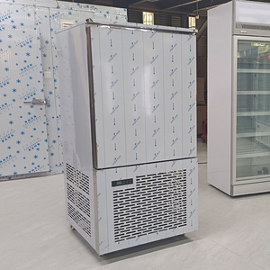 -40 độ tủ đông sâu tủ lạnh tủ lạnh lưu trữ tủ sương giá Miễn phí thiết bị làm lạnh Cửa Pháp dưới tủ lạnh tủ lạnh - Product Image 5