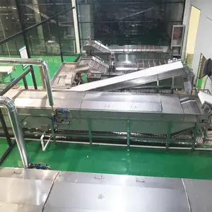 Máquina de branqueamento de frutas e frutas para fábrica de processamento de alimentos, batatas fritas e vegetais folhosos, brócolis e amendoim