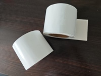 Kıyı binaları için tuza dayanıklı 0.6mm florokarbon membran butil su geçirmez bant
