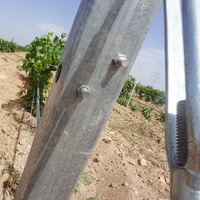 Poteau de soutien pour vignes de qualité supérieure, galvanisé, 2,4 mètres, pour utilisation dans les vignobles, les vergers et les infrastructures