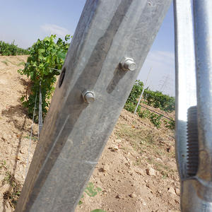 Poteau <span class=keywords><strong>de</strong></span> soutien <span class=keywords><strong>pour</strong></span> vignes <span class=keywords><strong>de</strong></span> qualité supérieure, <span class=keywords><strong>galvanisé</strong></span>, 2,4 mètres, <span class=keywords><strong>pour</strong></span> utilisation dans les vignobles, les vergers et les infrastructures - Product Image 6