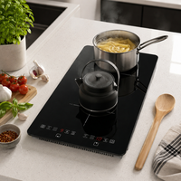 Table de cuisson à induction double invisible 2 brûleurs, commande tactile, surface en verre, 220V, sous comptoir, usage domestique, OEM ODM
