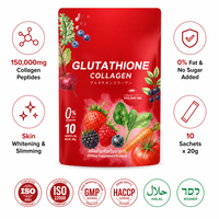 Collagène végétalien amincissant en marque blanche, peptides protéinés certifiés HACCP, supplément éclaircissant pour la peau, sachets de 10g, OEM