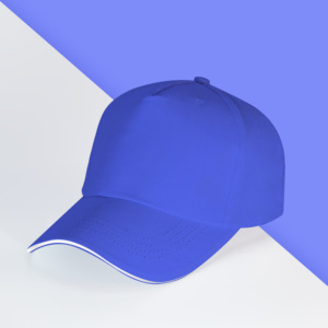 2024 Hot Selling Summer Custom Logo Baseball Caps Hat Heat Press Cotton Hat
