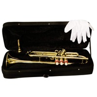 Brass Cornet Finish B Flat Profesionl With Case Trumpet Musical Instrument