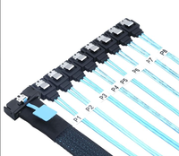 MCIO 8I SFF TA 1016 Ke 8 SATA 7 Pin Kabel Breakout 12Gbps 74 Pin Kabel Internal Server untuk Kartu RAID Penyimpanan HDD SSD