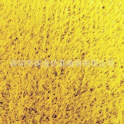 Gazon jaune de 2 cm de haut, 4 mètres de large, 1 mètre carré par rouleau