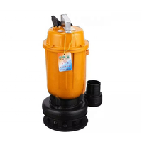WQ série 5hp 7.5hp 10hp 15hp 20hp 25hp 30hp 75hp agricole Intérieure portable pompe à eaux usées submersible