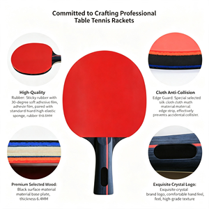 GQK Juego Profesional de Tenis de Mesa, 4 Palas, 6 Pelotas, Red Portátil, Bolsa de Transporte, Entrenamiento, Competición, Diversión Familiar - Product Image 4
