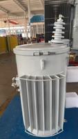 Vente directe d'usine D11 Transformateurs monophasés montés sur poteau 10kVA 15kVA 30kVA 50kVA 100kVA
