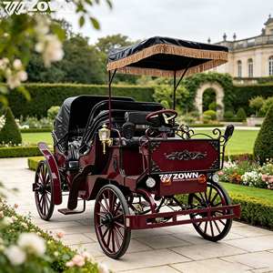 Carruaje Eléctrico Comercial sin Caballos para 4 Pasajeros, Carro Clásico para Turismo, Alquiler para Eventos, Bodas y Resorts - Product Image 1