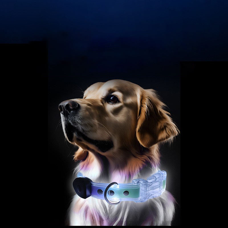 Dog Outdoor USB Charging Luminous LED Pet Leash Pull Strap PVC Rubber-Covered Waterproof Material Dog Walking LED Dog Lead
