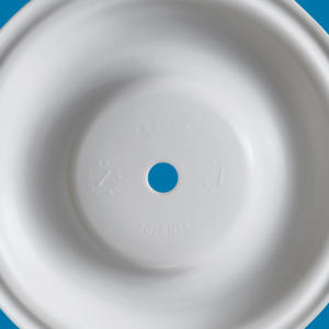 अनुकूलित हवा द्वारा संचालित डबल न्यूमेटिक डायाफ्राम पंप 188605 प्लास्टिक मॉडलिंग और काटने प्रसंस्करण के साथ - Product Image 4