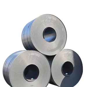 Galvanized Carbon Steel Cold Rolled Hot Rolled Coil For Nails For Compression Spring