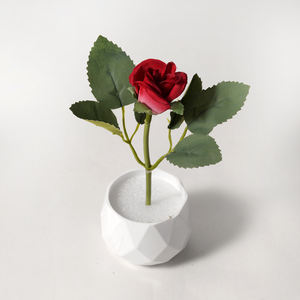 Led <span class=keywords><strong>Pot</strong></span> de Fleur Extérieur Grande Lumière Décorative de <span class=keywords><strong>Jardin</strong></span> Articles de Décoration Lumières Solaires Colorées Mini Vases Led Planter Light - Product Image 5