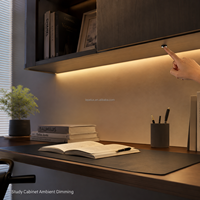Interrupteur tactile sous-meuble à intensité variable 12V 24V, contrôle centralisé LED pour éclairage de meuble de cuisine et bande lumineuse LC-7011-22