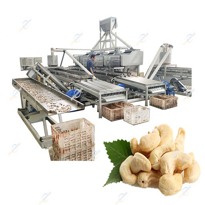 Efficient Cashew Nut Processing Line - High Capacity & Quality